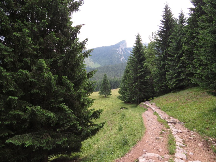 Tatrzański Park Narodowy